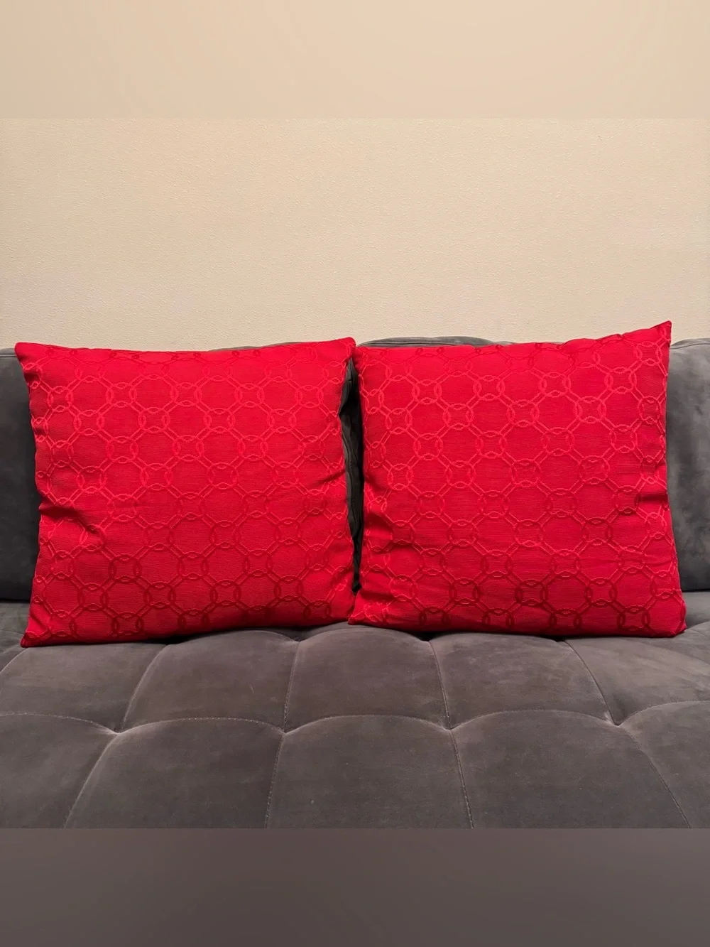 Set of 2 Square Embroidered Decorative Pillows